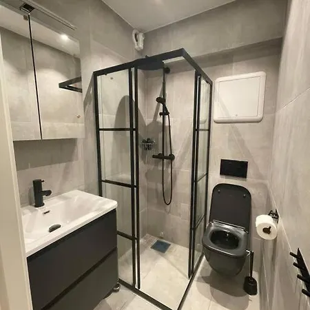 Newly Renovated Centrally Located In Apartment